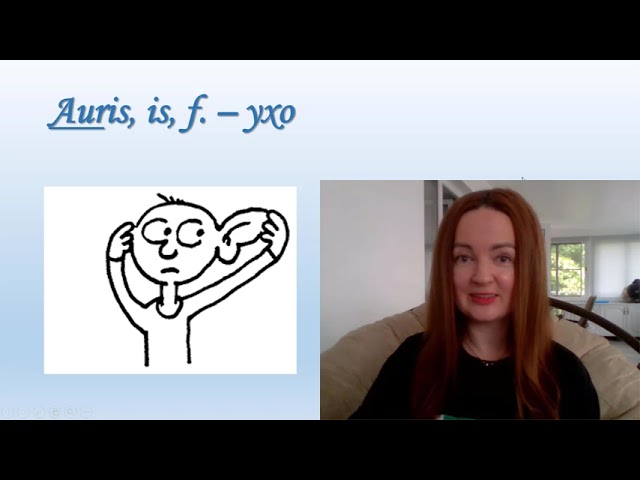 facies Cutis перевод с латыни facies Cutis перевод с латыни